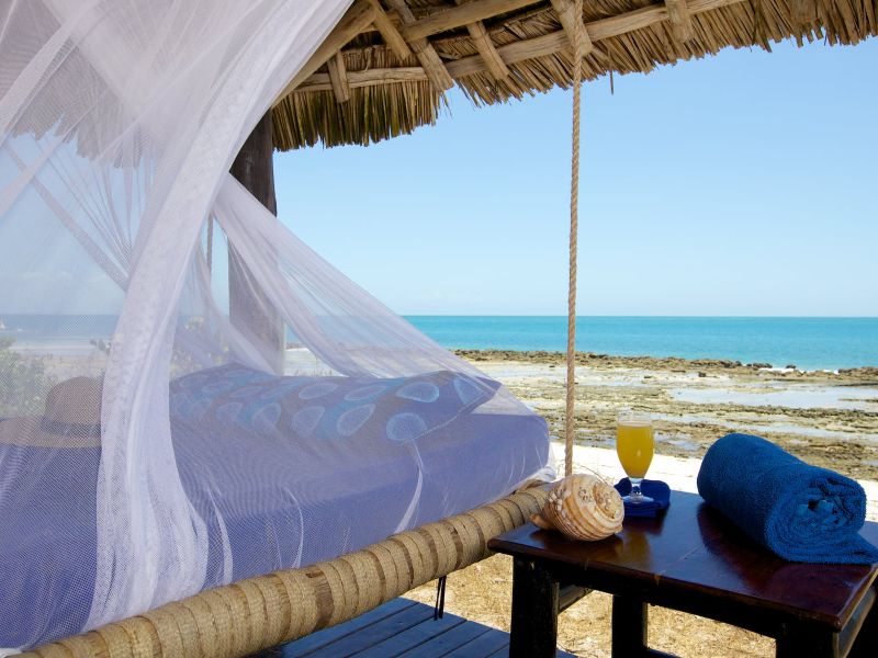 Safari und Strandleben