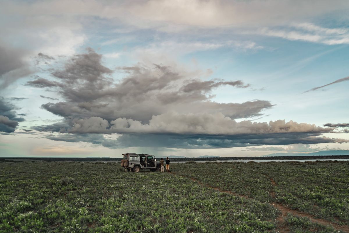 Ndutu Safari Lodge