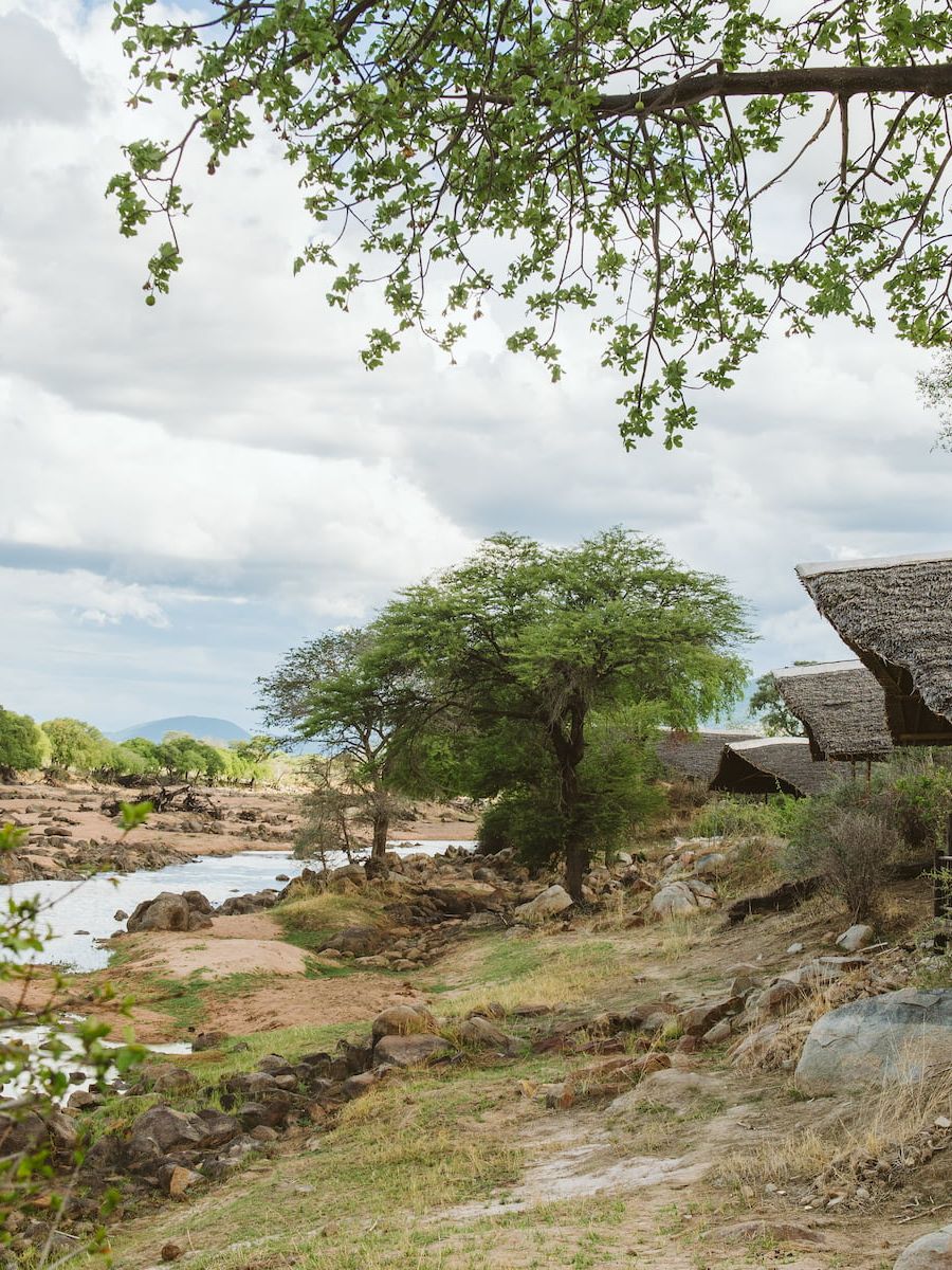 Ruaha River Lodge