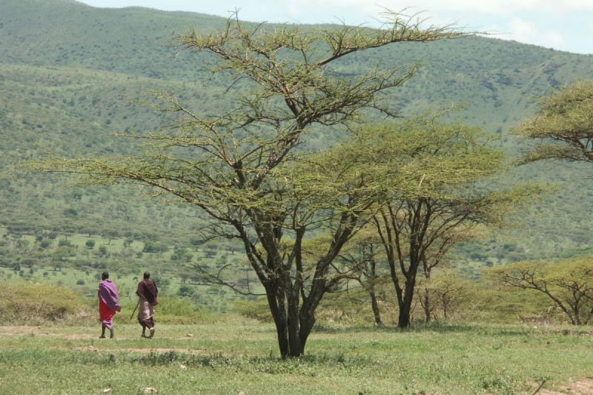 Zwei Maasai Krieger in der Serengeti