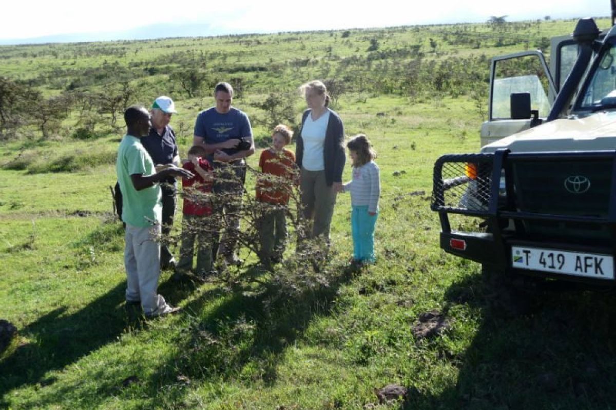 Safariausflug in Tansania