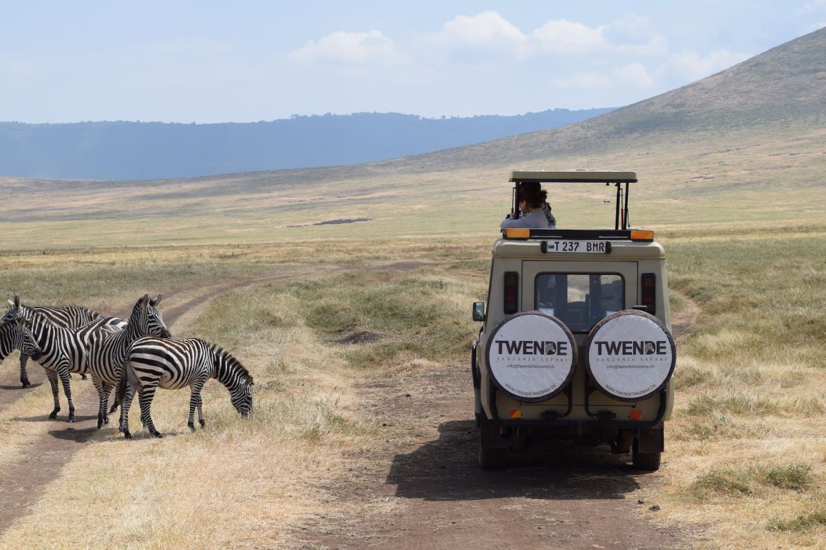 Jeep von Twende Tanzania Safari neben Zebras im Ngorongoro Krater