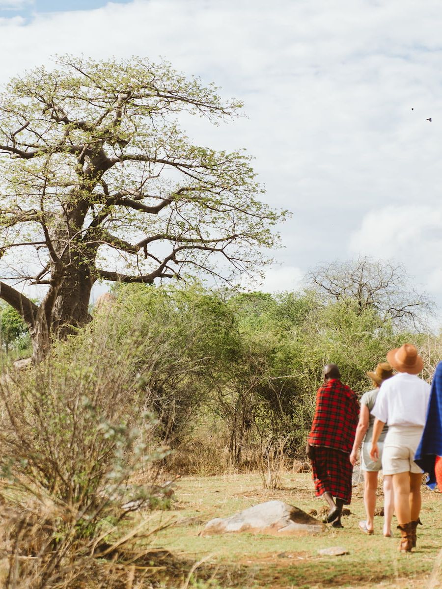 Ruaha River Lodge