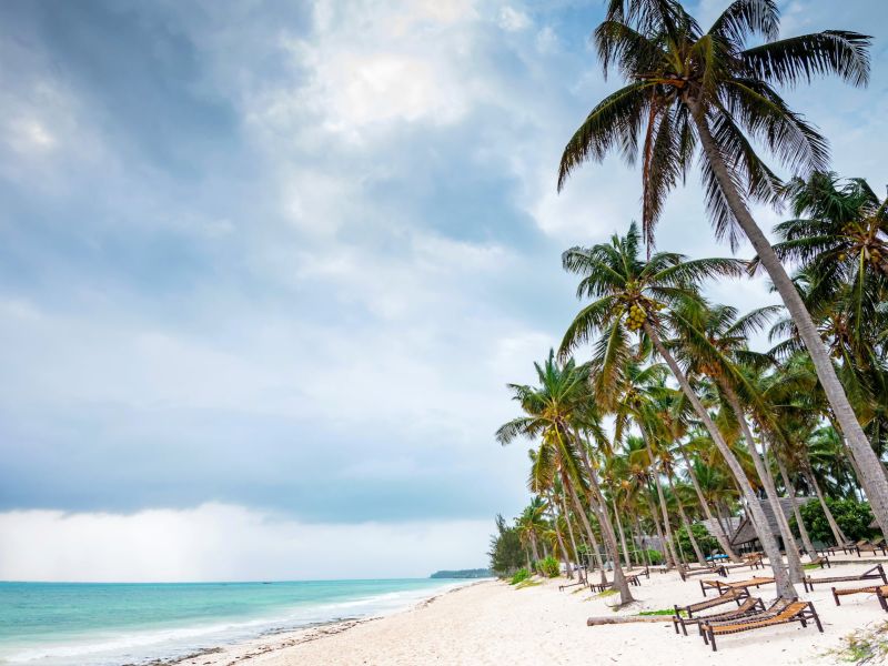 Tropische Küste, Sonnenliegen und Palmen in Tansania -Urlaub an einem tropischen Strand mit Palmen und Meer