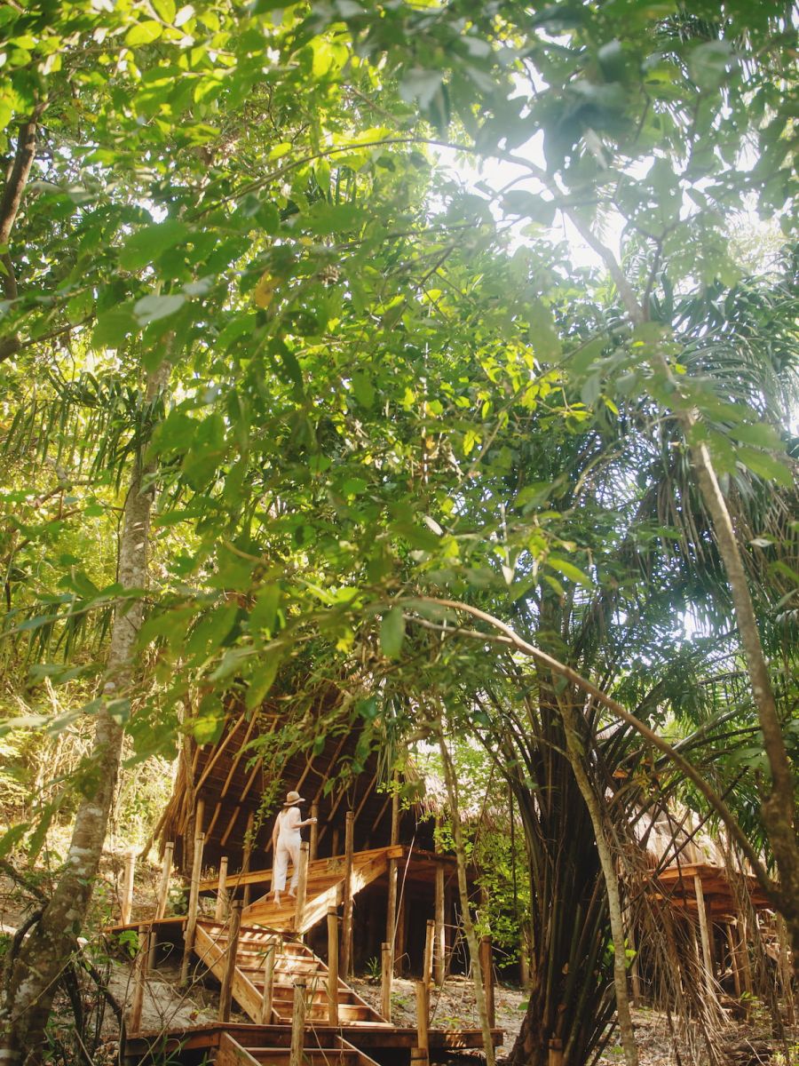 Greystoke Mahale Camp