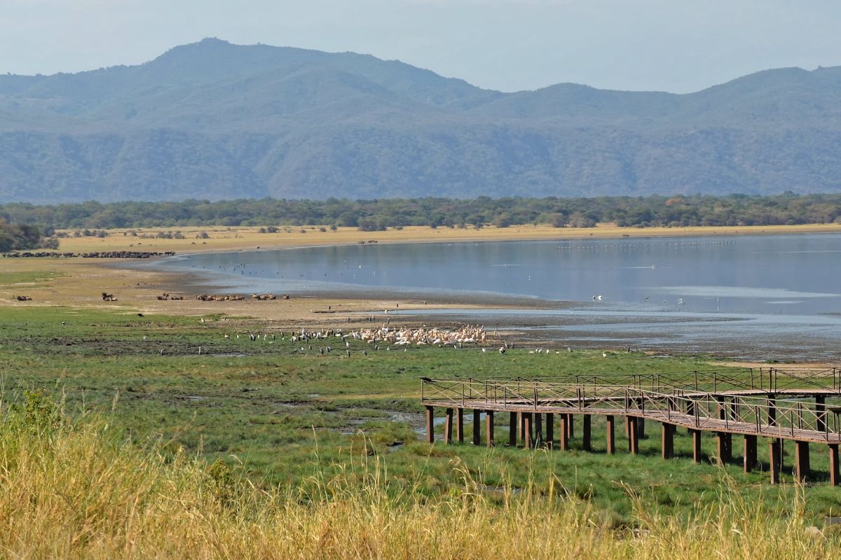 Lake Manyara Nationalpark