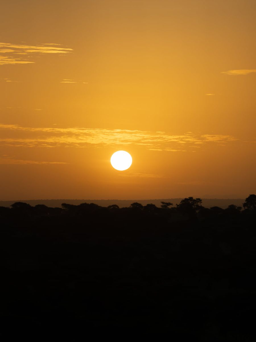 Tarangire Safari Lodge