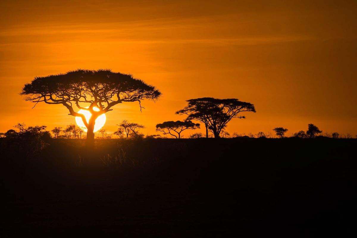 Sonnenuntergang im Serengeti-Nationalpark