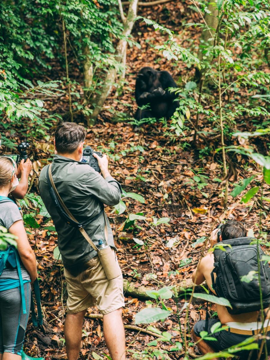 Greystoke Mahale Camp