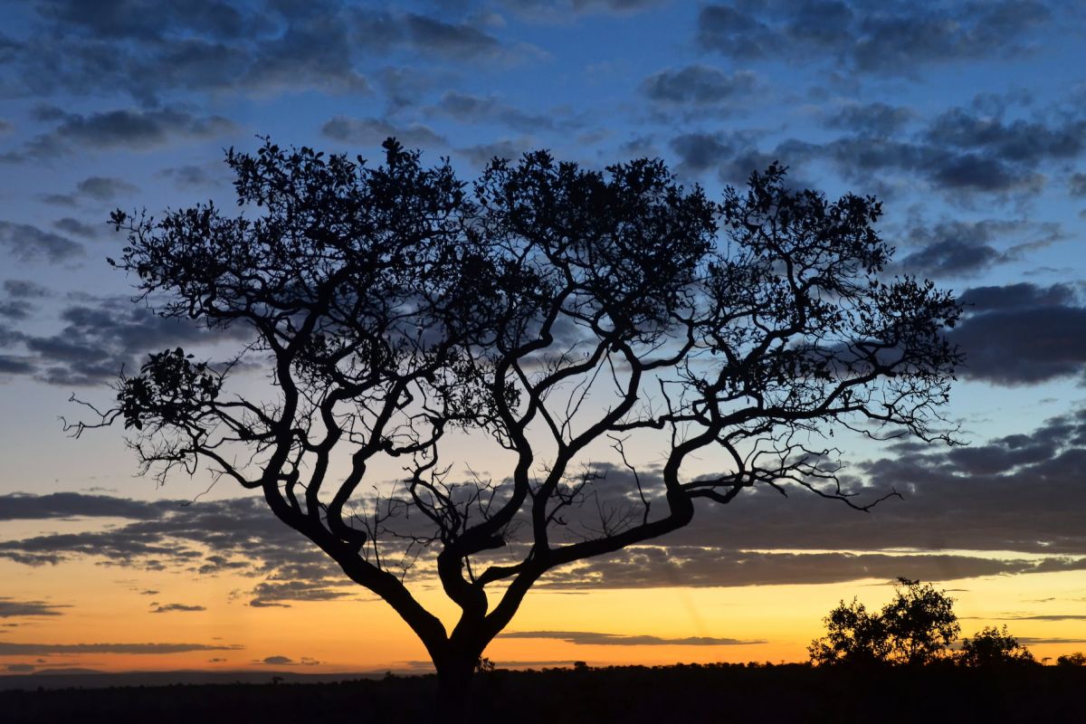 Serengeti Nationalpark - Unschlagbare Kulissen