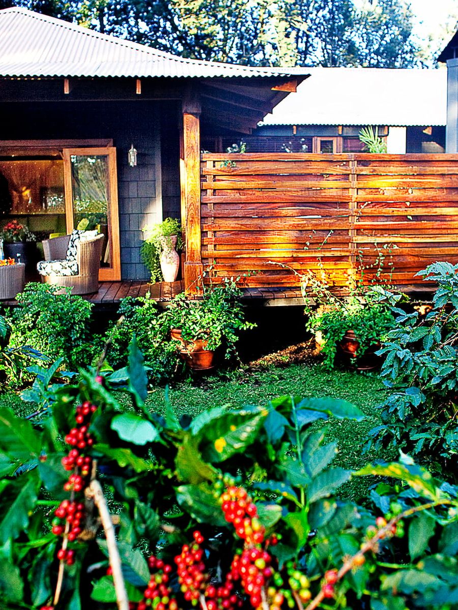 Arusha Coffee Lodge