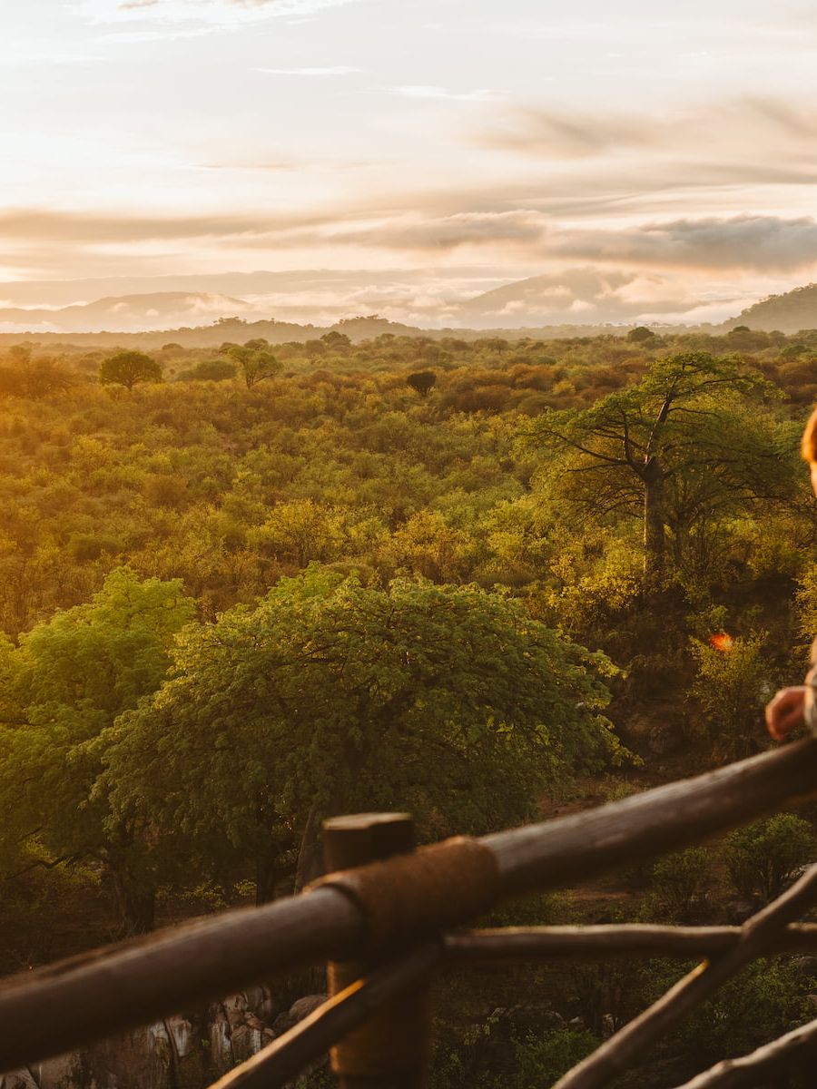 Ruaha River Lodge