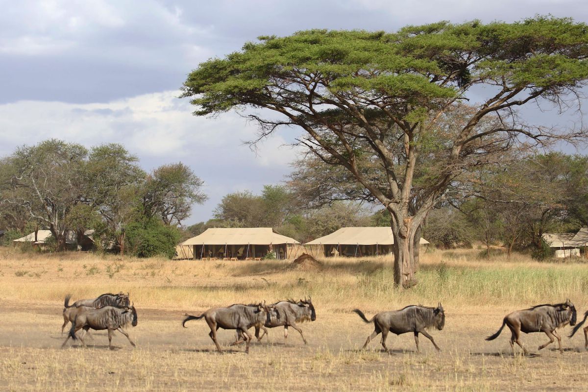 Umgebung des Ubuntu Migration Camp