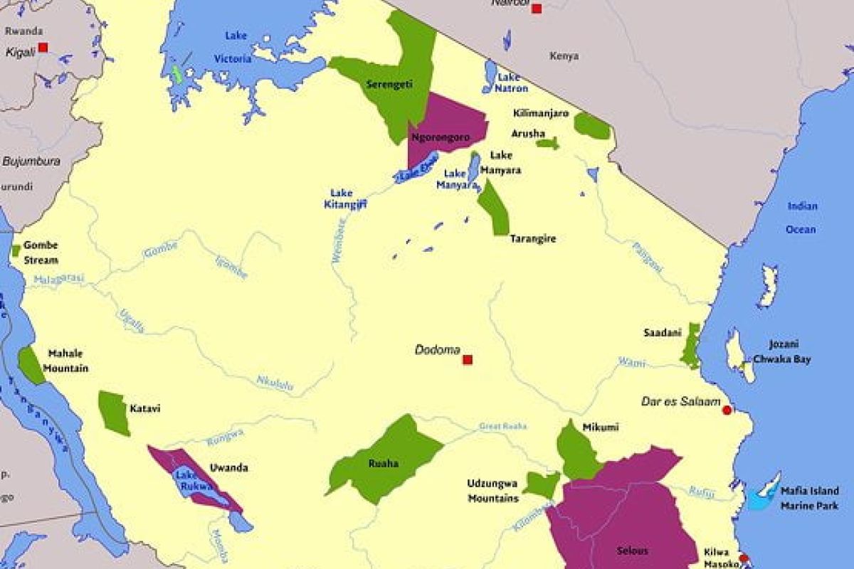 Nationalparks & Naturreservate in Tansania – Ihr Abenteuer wartet auf Sie