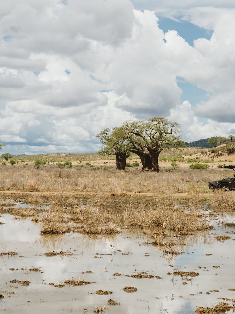 Ruaha River Lodge