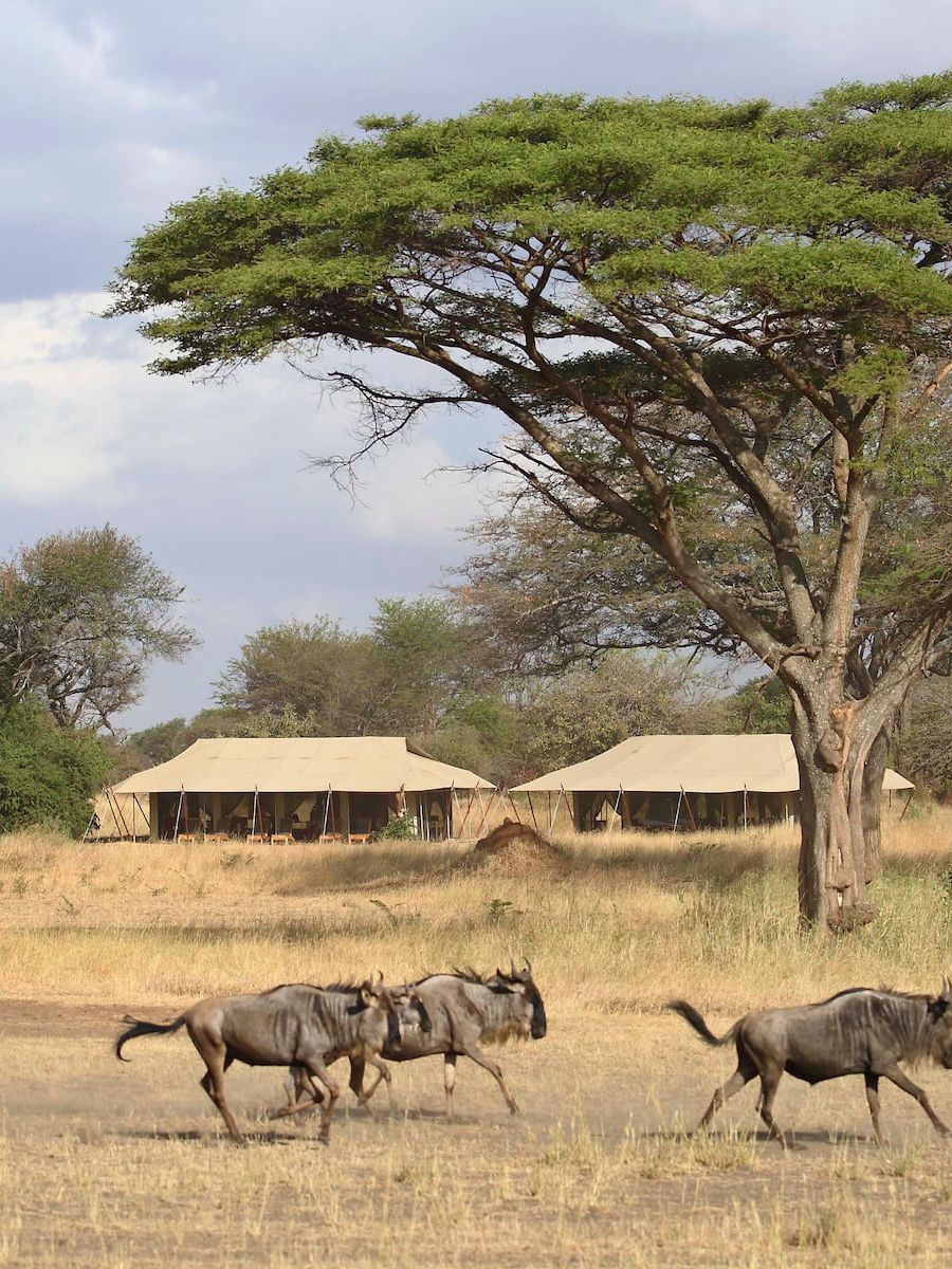 Umgebung des Ubuntu Migration Camp