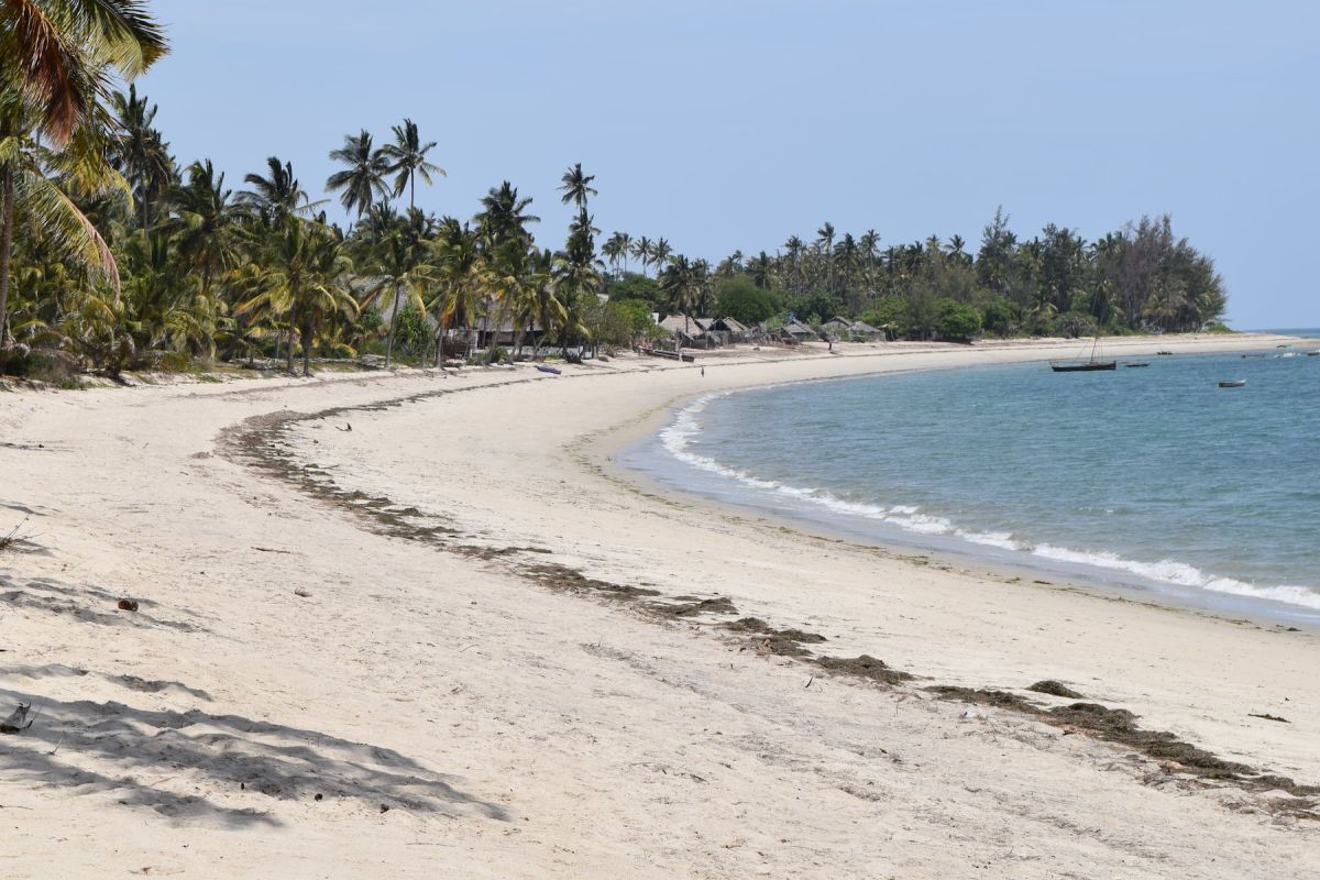 Safari und Strandleben
