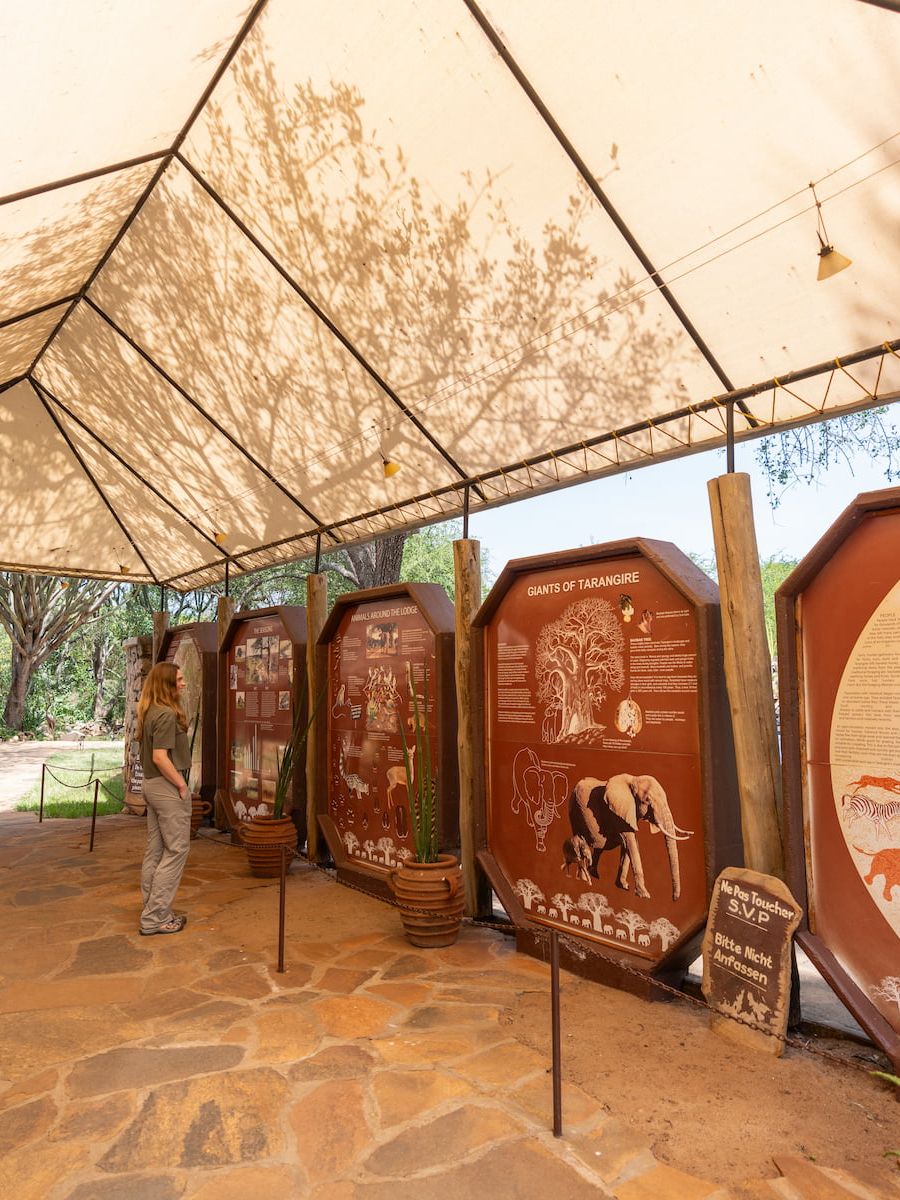 Tarangire Safari Lodge