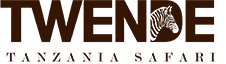 Twende Logo