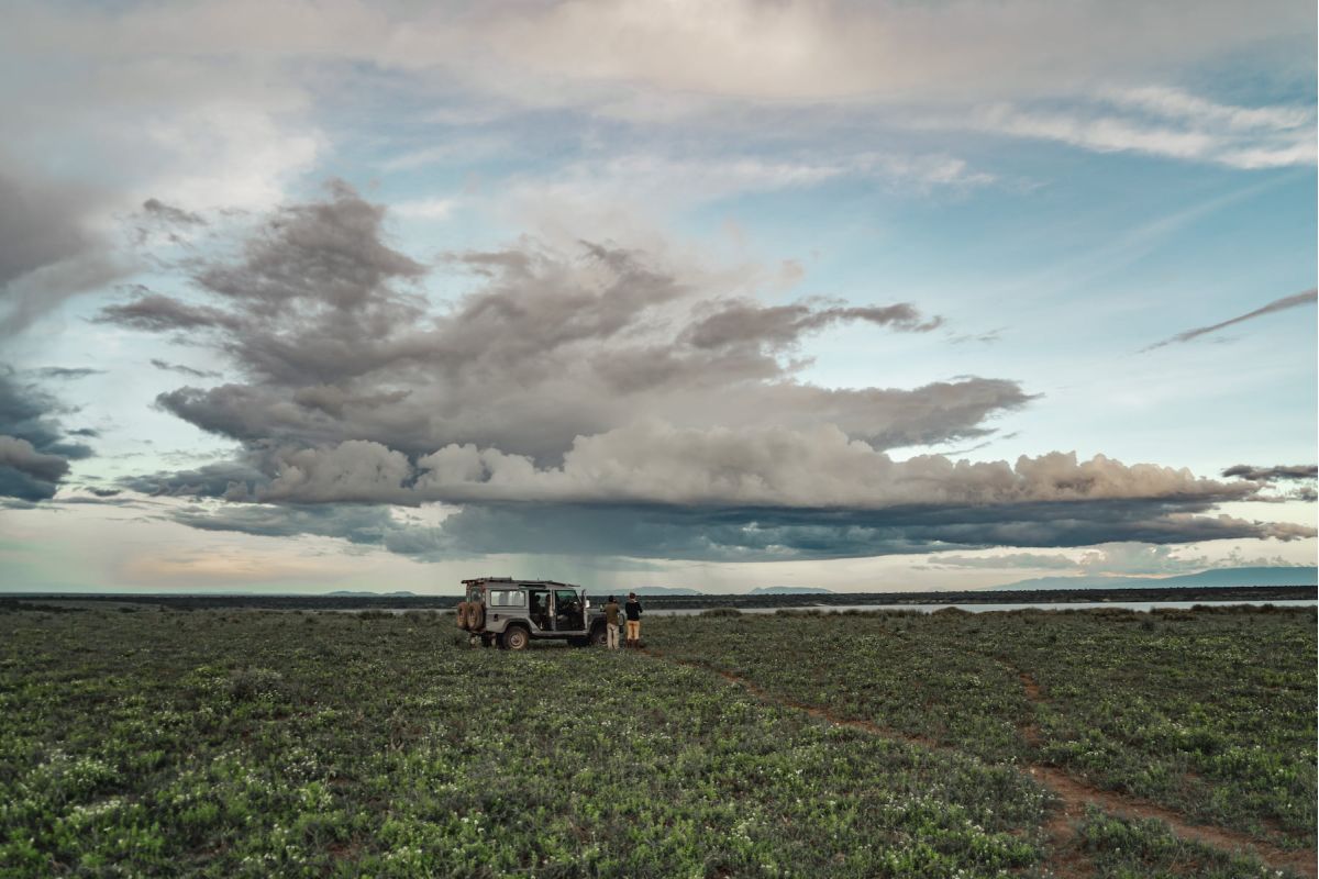 Ndutu Safari Lodge