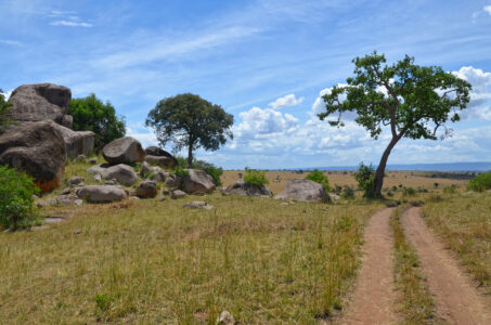 Tansania's Nationalparks & Naturreservate