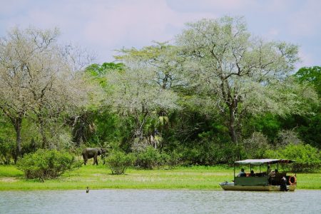 Tansania's Nationalparks und Naturreservate