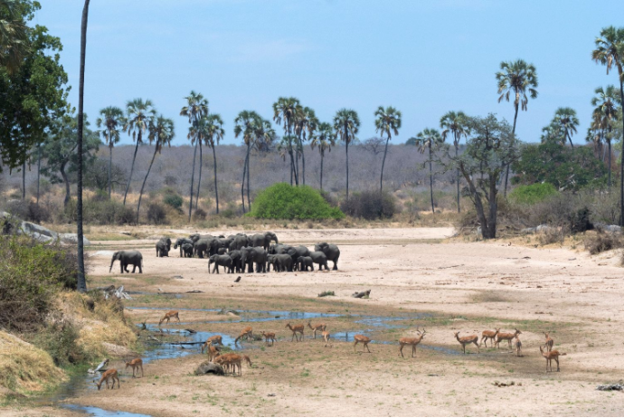 Tansania's Nationalparks & Naturreservate