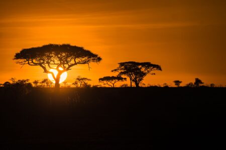 Sonnenuntergang in der Serengeti Tansania