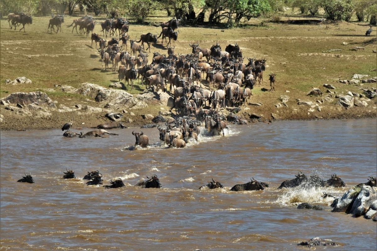 Umgebung des Ubuntu Migration Camp