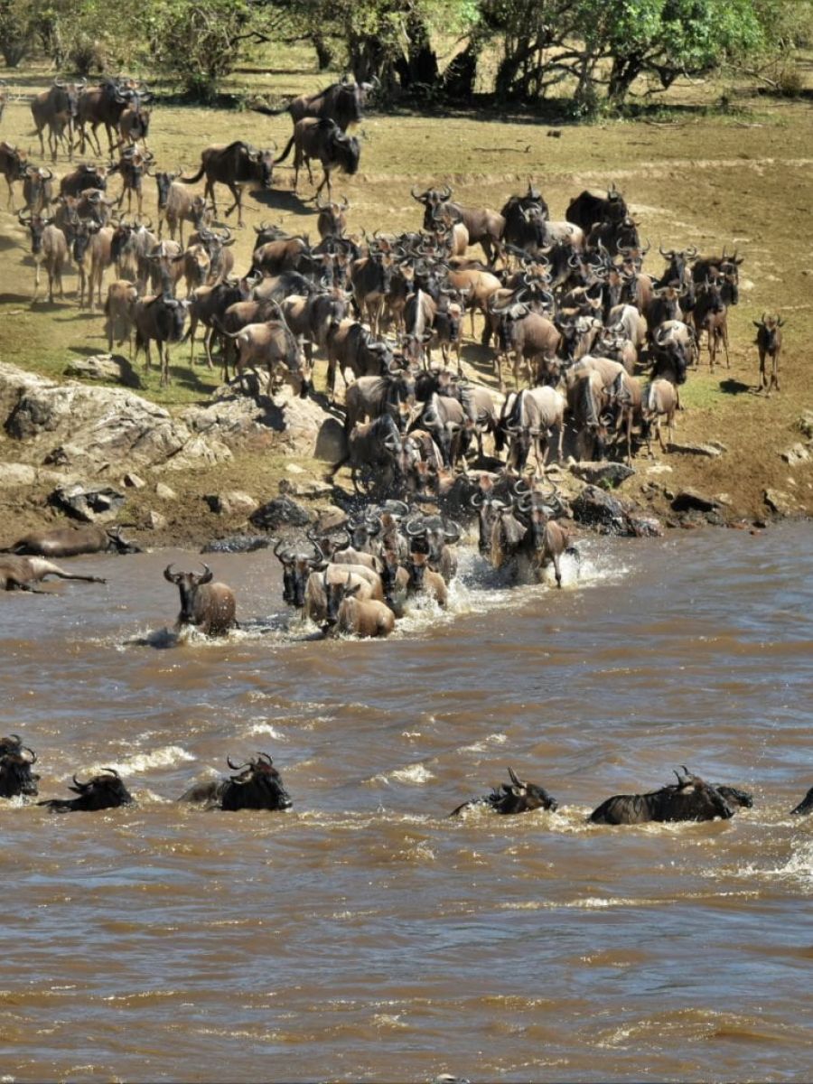 Umgebung des Ubuntu Migration Camp