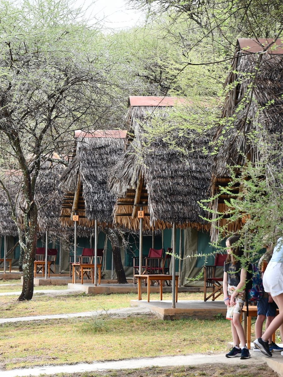 Tarangire Safari Lodge