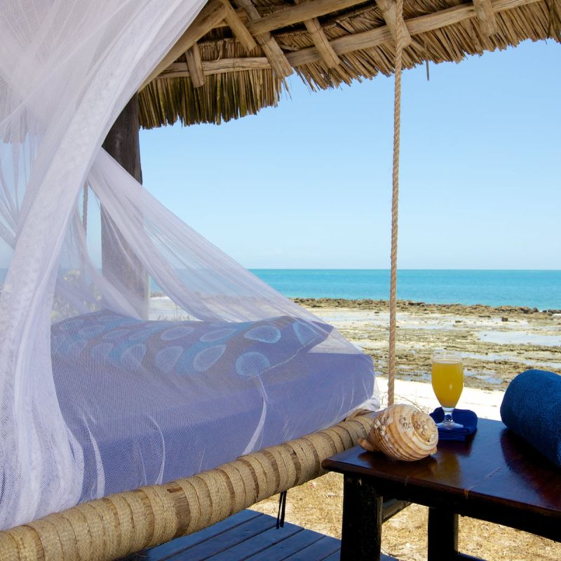 Safari und Strandleben