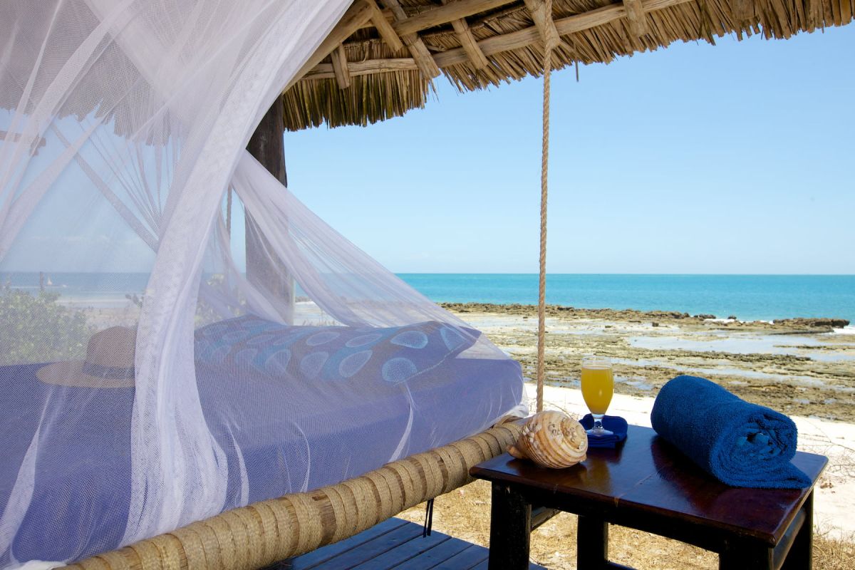 Safari und Strandleben