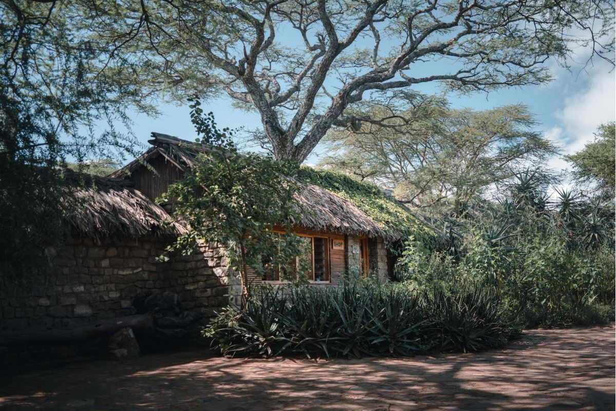 Ndutu Safari Lodge