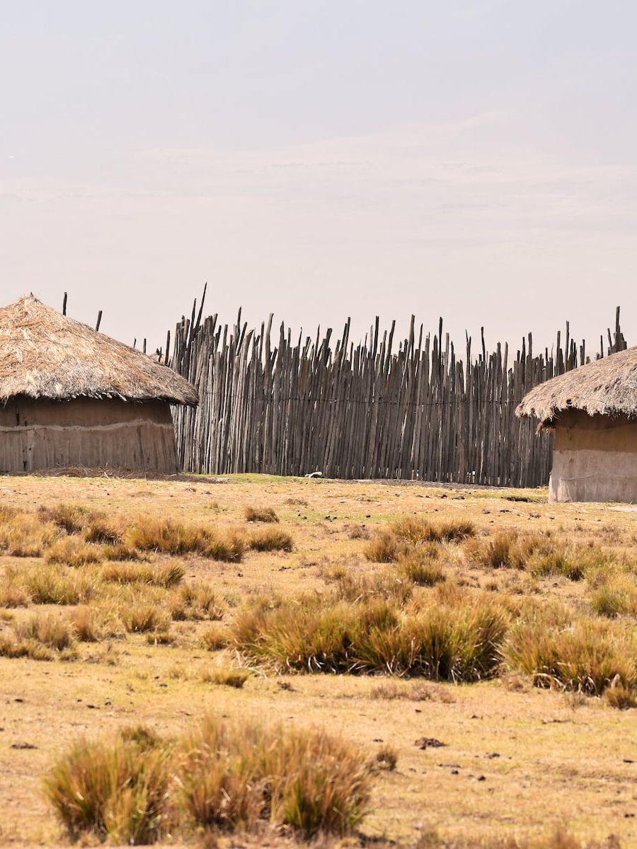 Stammeshütten im Ngorongoro Nationalpark Tansanias