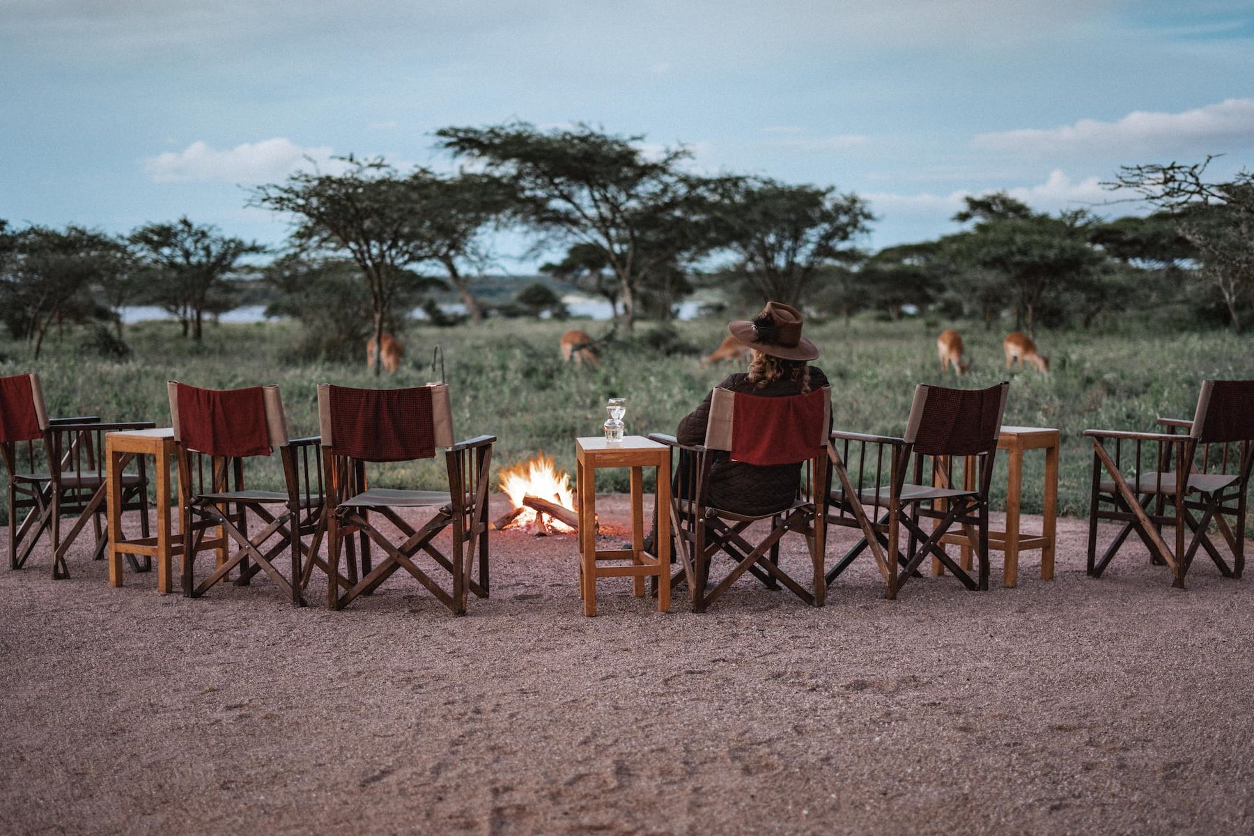 Ndutu Safari Lodge
