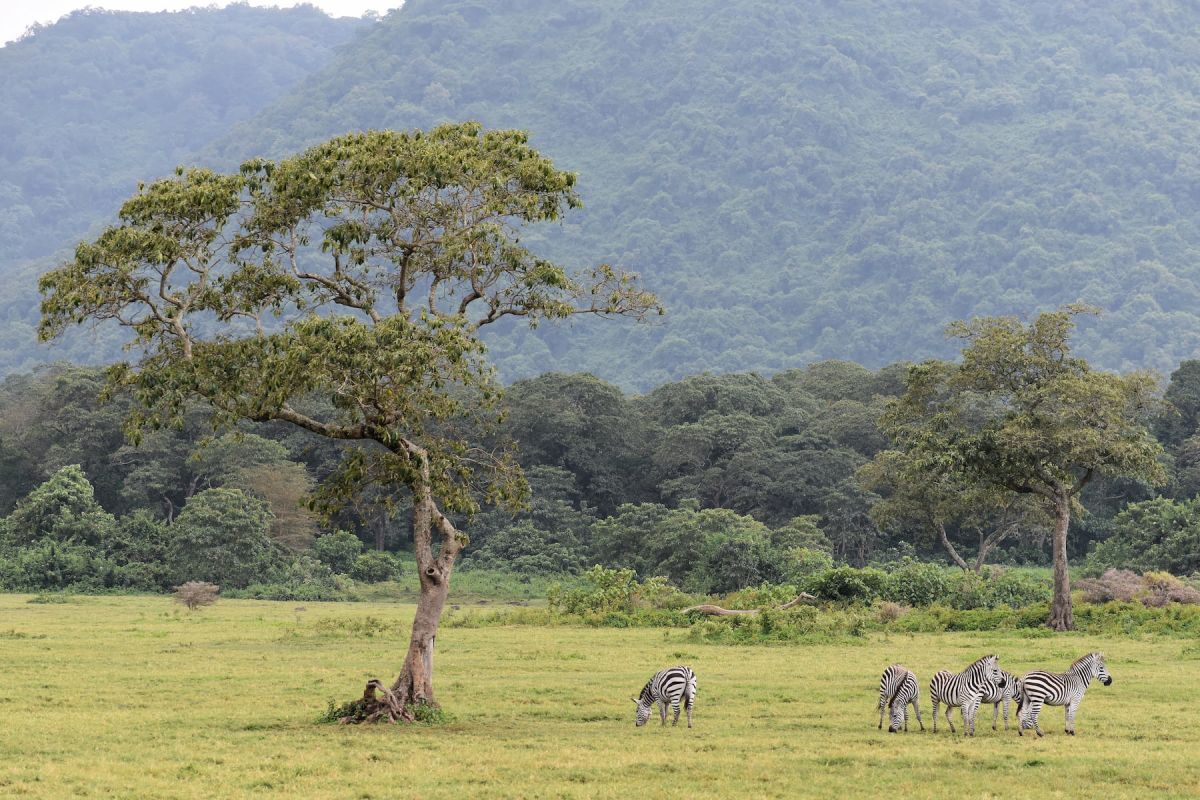 Ngurdoto-Krater, Momela Lakes und Mount Meru