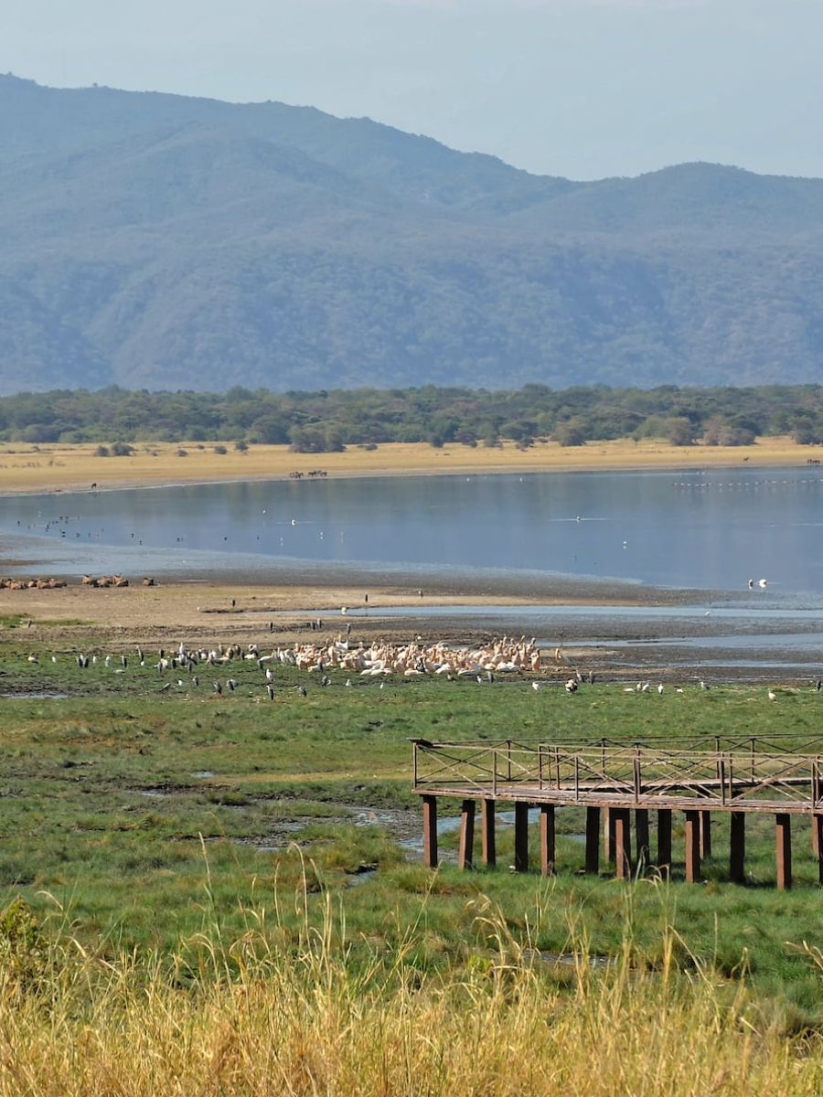 Lake Manyara Nationalpark