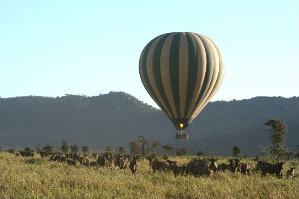 Heissluftballon Safari in Tansania