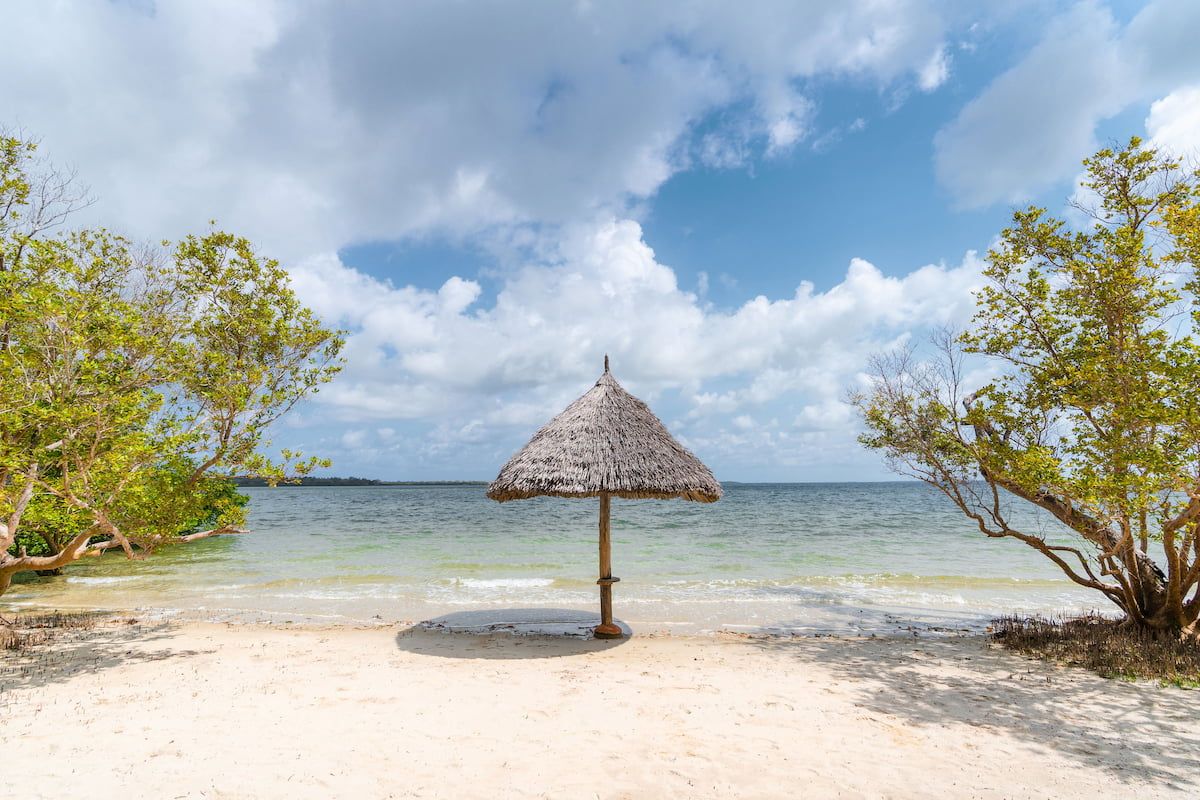 Tropische Küste, Sonnenliegen und Palmen in Tansania -Urlaub an einem tropischen Strand mit Palmen und Meer