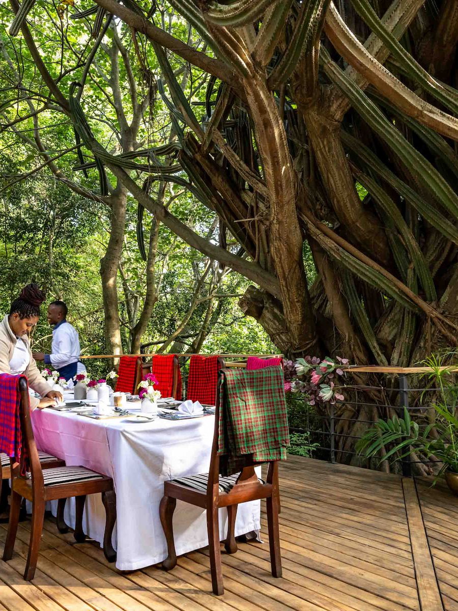 Mount Meru Game Lodge