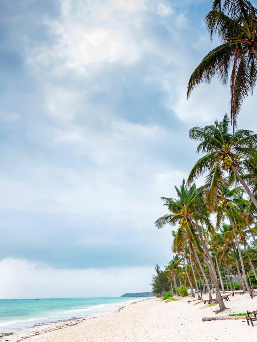 Tropische Küste, Sonnenliegen und Palmen in Tansania -Urlaub an einem tropischen Strand mit Palmen und Meer