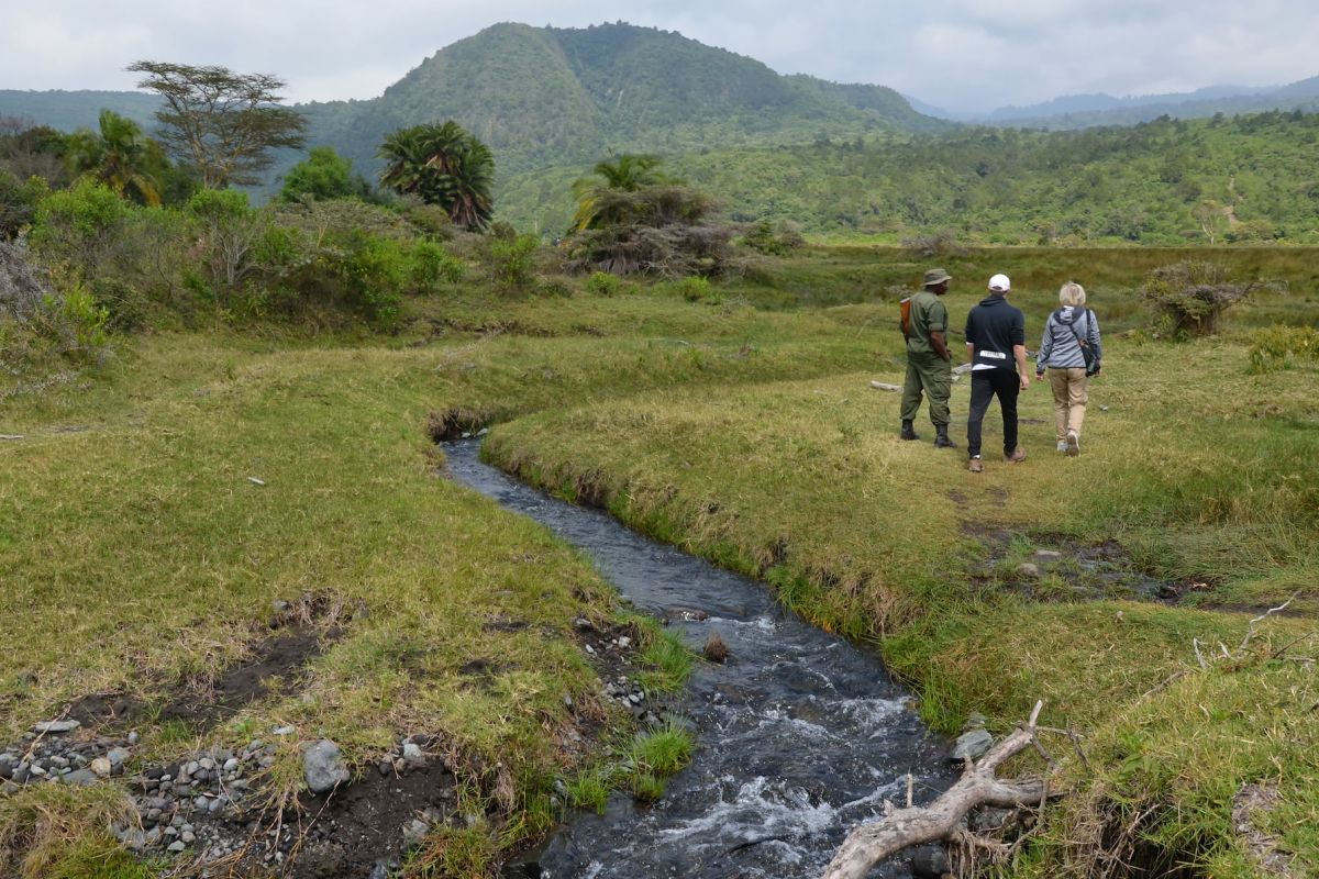 Kleine Reisegruppe mit Scout im Nationalpark von Arusha